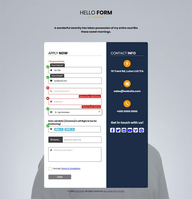 Job Apply with Tag Inputs