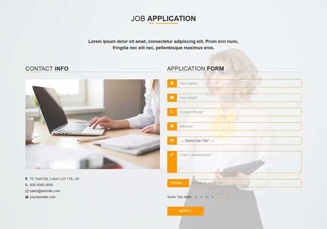 Application Form Style 1